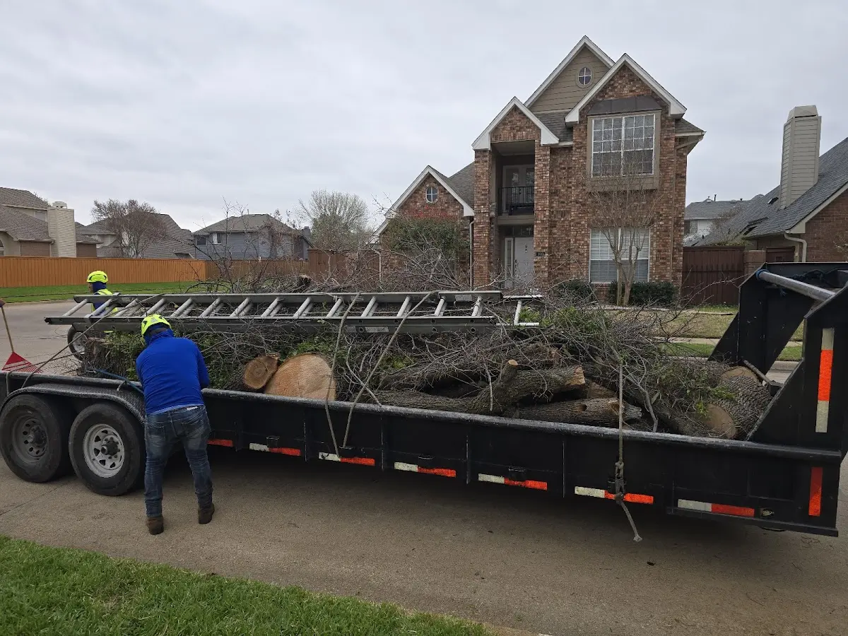 Expert Tree Removal with proper safety equipment in Jonesboro